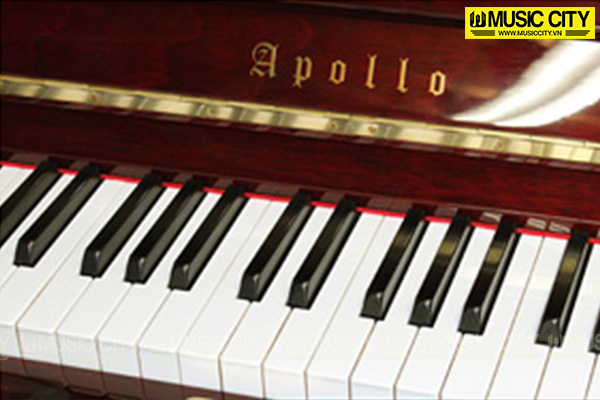 Music City – Tổng Kho Piano, Guitar, Organ | Dịch Vụ Giáo Dục Âm Nhạc
