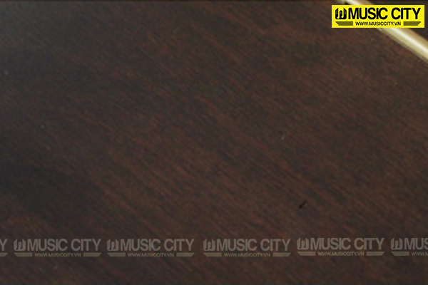 Music City – Tổng Kho Piano, Guitar, Organ | Dịch Vụ Giáo Dục Âm Nhạc