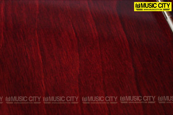 Music City – Tổng Kho Piano, Guitar, Organ | Dịch Vụ Giáo Dục Âm Nhạc