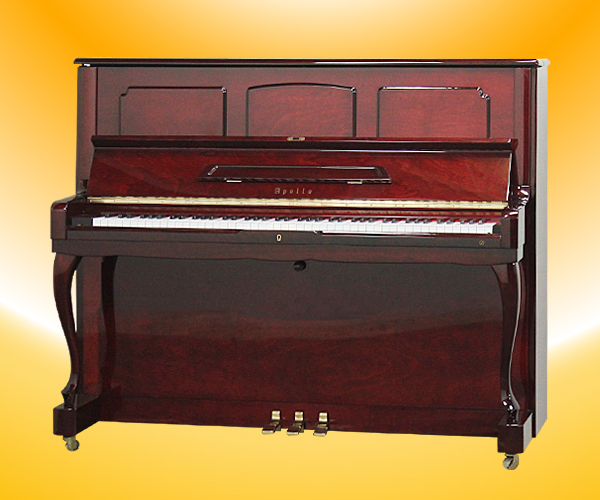 Music City – Tổng Kho Piano, Guitar, Organ | Dịch Vụ Giáo Dục Âm Nhạc