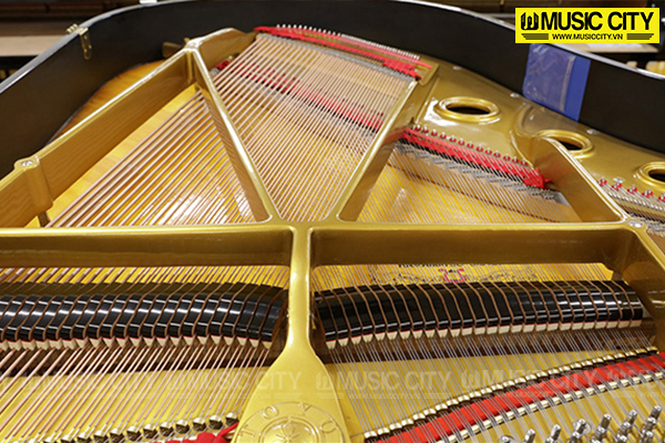 Music City – Tổng Kho Piano, Guitar, Organ | Dịch Vụ Giáo Dục Âm Nhạc