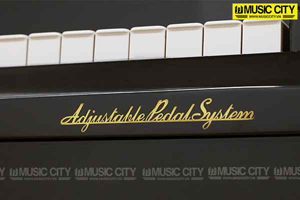 Music City – Tổng Kho Piano, Guitar, Organ | Dịch Vụ Giáo Dục Âm Nhạc