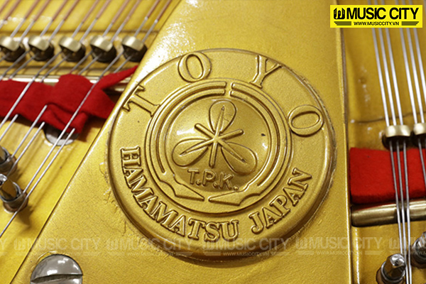 Music City – Tổng Kho Piano, Guitar, Organ | Dịch Vụ Giáo Dục Âm Nhạc