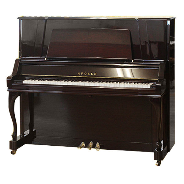 Music City – Tổng Kho Piano, Guitar, Organ | Dịch Vụ Giáo Dục Âm Nhạc