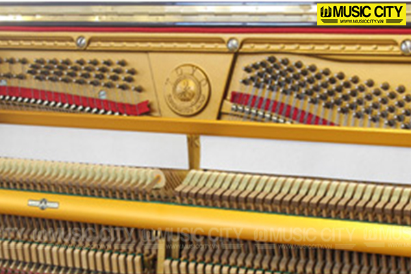 Music City – Tổng Kho Piano, Guitar, Organ | Dịch Vụ Giáo Dục Âm Nhạc