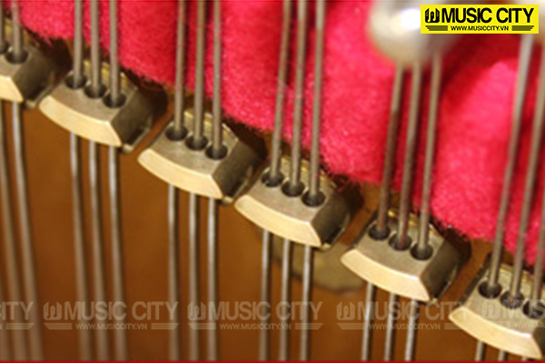Music City – Tổng Kho Piano, Guitar, Organ | Dịch Vụ Giáo Dục Âm Nhạc