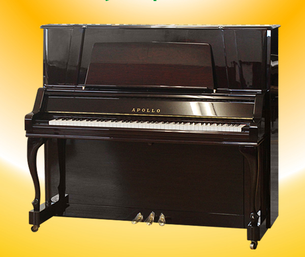 Music City – Tổng Kho Piano, Guitar, Organ | Dịch Vụ Giáo Dục Âm Nhạc