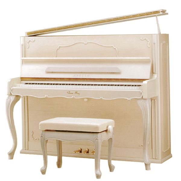 Music City – Tổng Kho Piano, Guitar, Organ | Dịch Vụ Giáo Dục Âm Nhạc