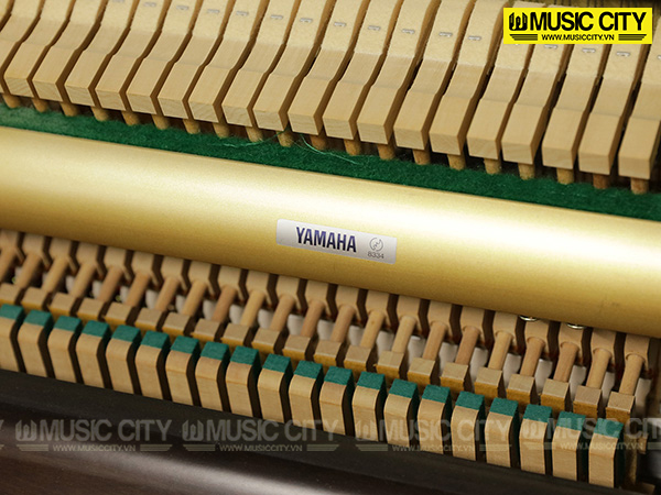 Đàn Piano Apollo RU200 - Ảnh 10