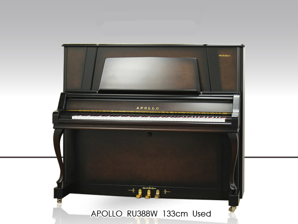 Music City – Tổng Kho Piano, Guitar, Organ | Dịch Vụ Giáo Dục Âm Nhạc
