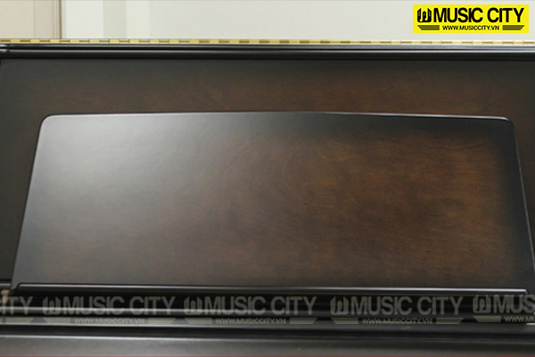 Music City – Tổng Kho Piano, Guitar, Organ | Dịch Vụ Giáo Dục Âm Nhạc