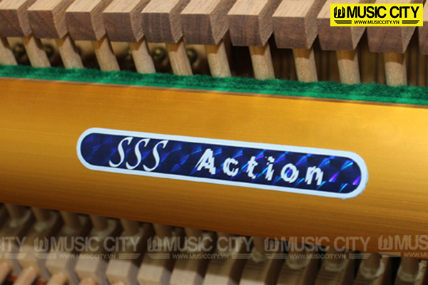 Music City – Tổng Kho Piano, Guitar, Organ | Dịch Vụ Giáo Dục Âm Nhạc
