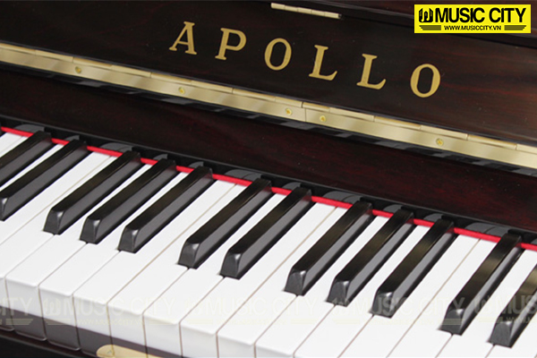 Music City – Tổng Kho Piano, Guitar, Organ | Dịch Vụ Giáo Dục Âm Nhạc