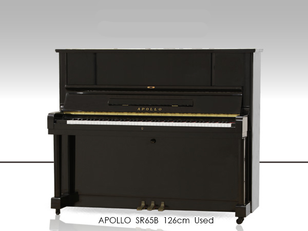 Music City – Tổng Kho Piano, Guitar, Organ | Dịch Vụ Giáo Dục Âm Nhạc