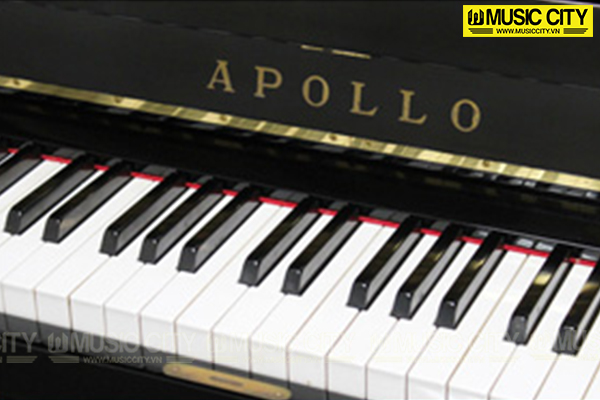 Music City – Tổng Kho Piano, Guitar, Organ | Dịch Vụ Giáo Dục Âm Nhạc
