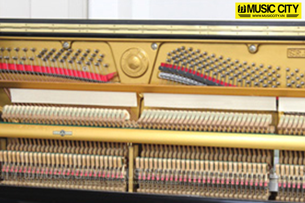 Music City – Tổng Kho Piano, Guitar, Organ | Dịch Vụ Giáo Dục Âm Nhạc