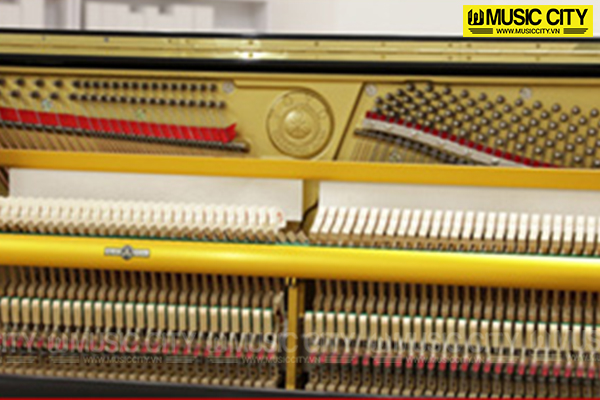 Music City – Tổng Kho Piano, Guitar, Organ | Dịch Vụ Giáo Dục Âm Nhạc