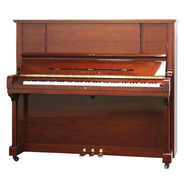 Music City – Tổng Kho Piano, Guitar, Organ | Dịch Vụ Giáo Dục Âm Nhạc