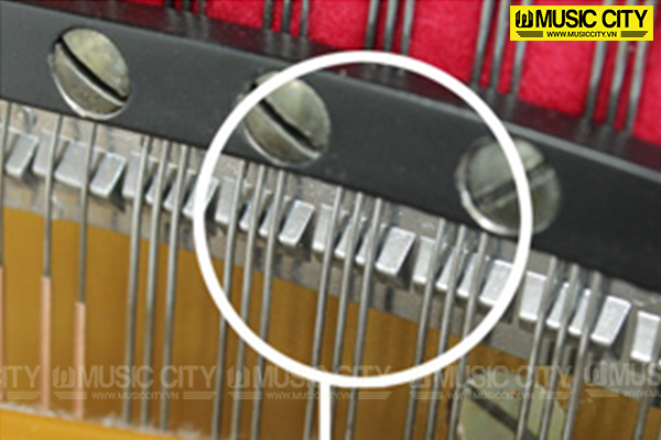 Music City – Tổng Kho Piano, Guitar, Organ | Dịch Vụ Giáo Dục Âm Nhạc