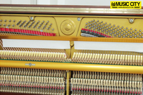 Music City – Tổng Kho Piano, Guitar, Organ | Dịch Vụ Giáo Dục Âm Nhạc