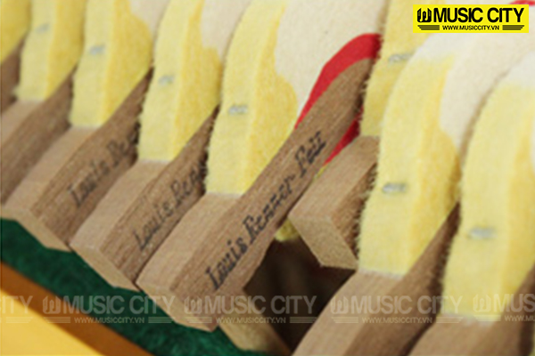 Music City – Tổng Kho Piano, Guitar, Organ | Dịch Vụ Giáo Dục Âm Nhạc