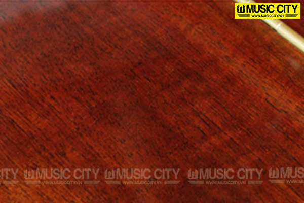 Music City – Tổng Kho Piano, Guitar, Organ | Dịch Vụ Giáo Dục Âm Nhạc