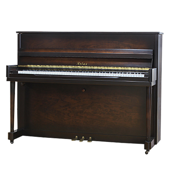 Music City – Tổng Kho Piano, Guitar, Organ | Dịch Vụ Giáo Dục Âm Nhạc