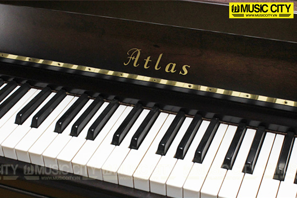 Music City – Tổng Kho Piano, Guitar, Organ | Dịch Vụ Giáo Dục Âm Nhạc