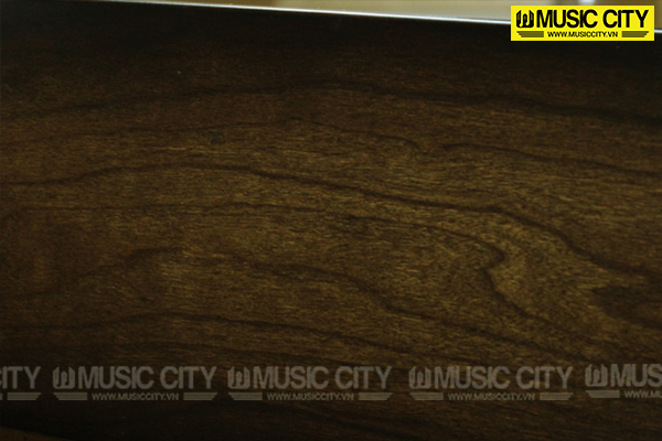 Music City – Tổng Kho Piano, Guitar, Organ | Dịch Vụ Giáo Dục Âm Nhạc