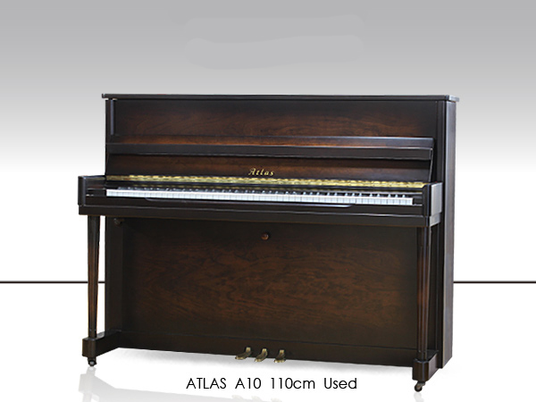 Music City – Tổng Kho Piano, Guitar, Organ | Dịch Vụ Giáo Dục Âm Nhạc