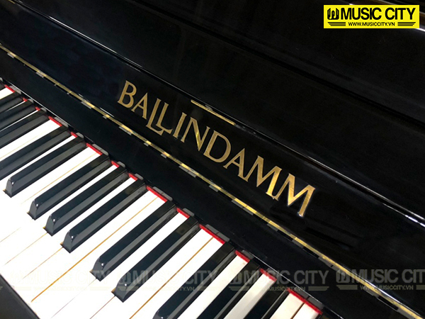 Music City – Tổng Kho Piano, Guitar, Organ | Dịch Vụ Giáo Dục Âm Nhạc