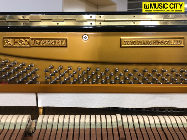 Music City – Tổng Kho Piano, Guitar, Organ | Dịch Vụ Giáo Dục Âm Nhạc
