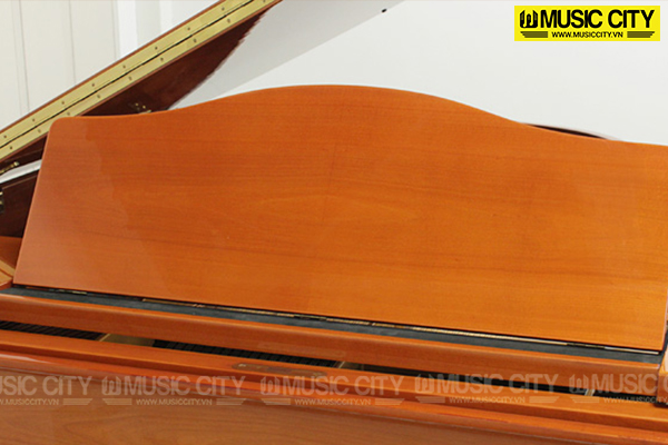 Music City – Tổng Kho Piano, Guitar, Organ | Dịch Vụ Giáo Dục Âm Nhạc