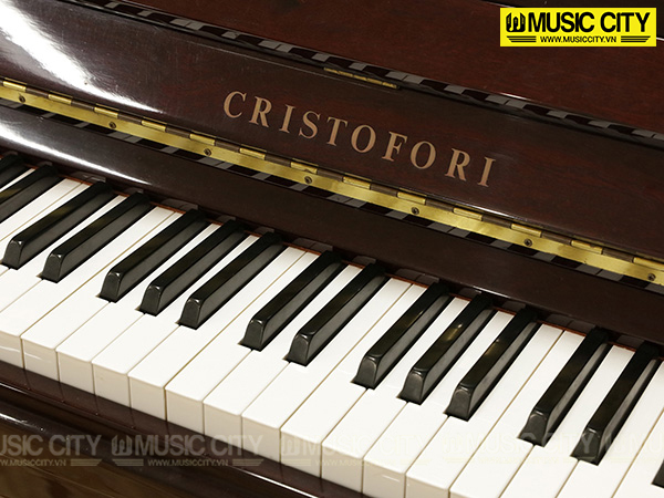 Music City – Tổng Kho Piano, Guitar, Organ | Dịch Vụ Giáo Dục Âm Nhạc