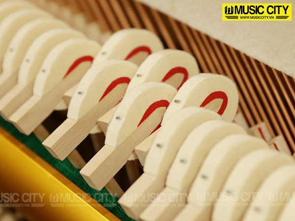 Music City – Tổng Kho Piano, Guitar, Organ | Dịch Vụ Giáo Dục Âm Nhạc