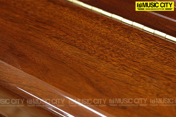 Music City – Tổng Kho Piano, Guitar, Organ | Dịch Vụ Giáo Dục Âm Nhạc