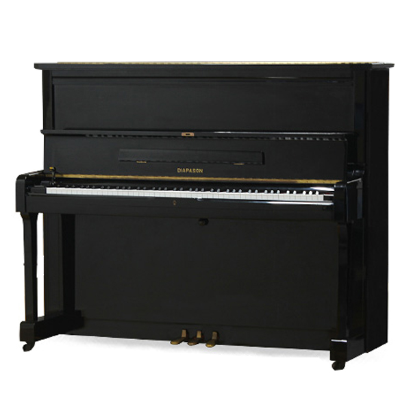 Music City – Tổng Kho Piano, Guitar, Organ | Dịch Vụ Giáo Dục Âm Nhạc