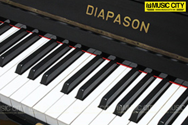 Music City – Tổng Kho Piano, Guitar, Organ | Dịch Vụ Giáo Dục Âm Nhạc