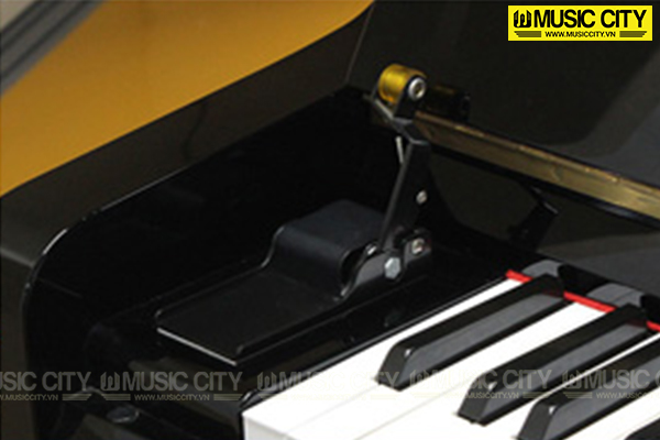 Music City – Tổng Kho Piano, Guitar, Organ | Dịch Vụ Giáo Dục Âm Nhạc