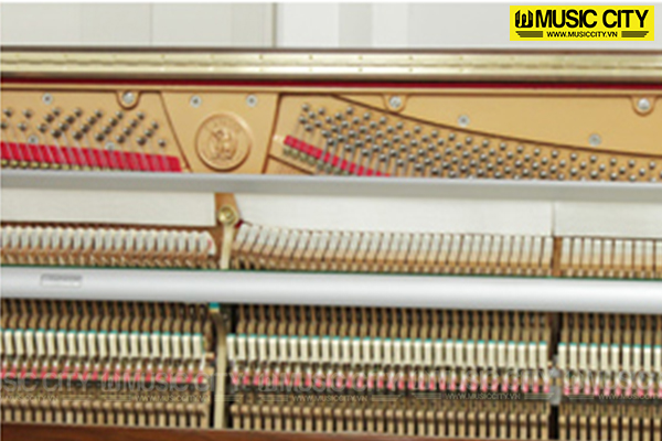 Music City – Tổng Kho Piano, Guitar, Organ | Dịch Vụ Giáo Dục Âm Nhạc