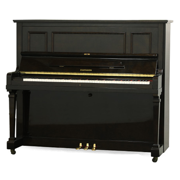 Music City – Tổng Kho Piano, Guitar, Organ | Dịch Vụ Giáo Dục Âm Nhạc