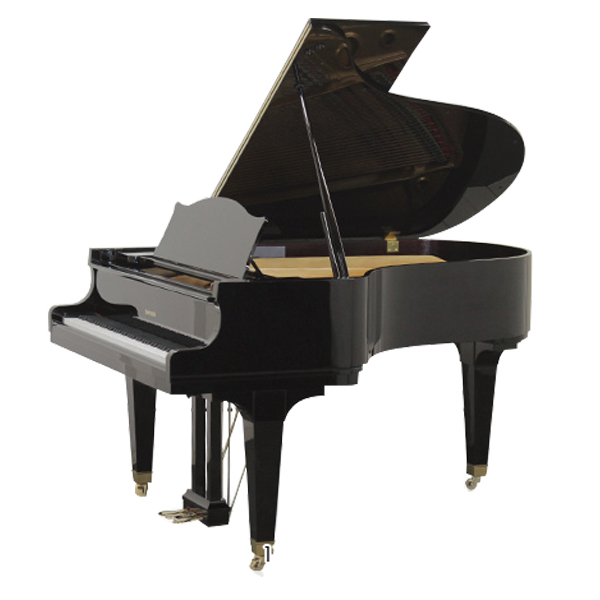 Music City – Tổng Kho Piano, Guitar, Organ | Dịch Vụ Giáo Dục Âm Nhạc