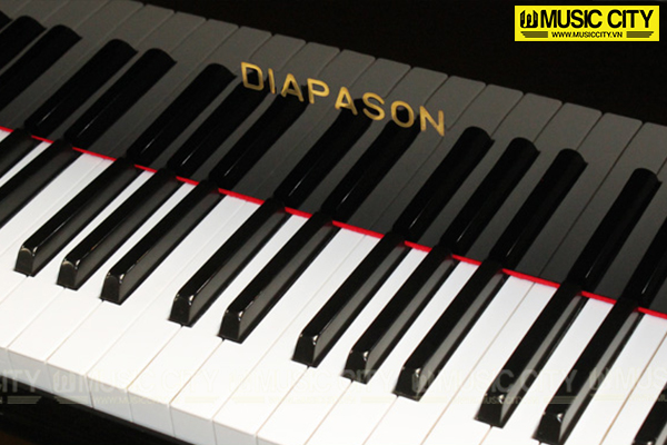 Music City – Tổng Kho Piano, Guitar, Organ | Dịch Vụ Giáo Dục Âm Nhạc