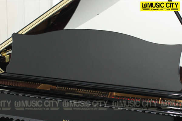 Music City – Tổng Kho Piano, Guitar, Organ | Dịch Vụ Giáo Dục Âm Nhạc
