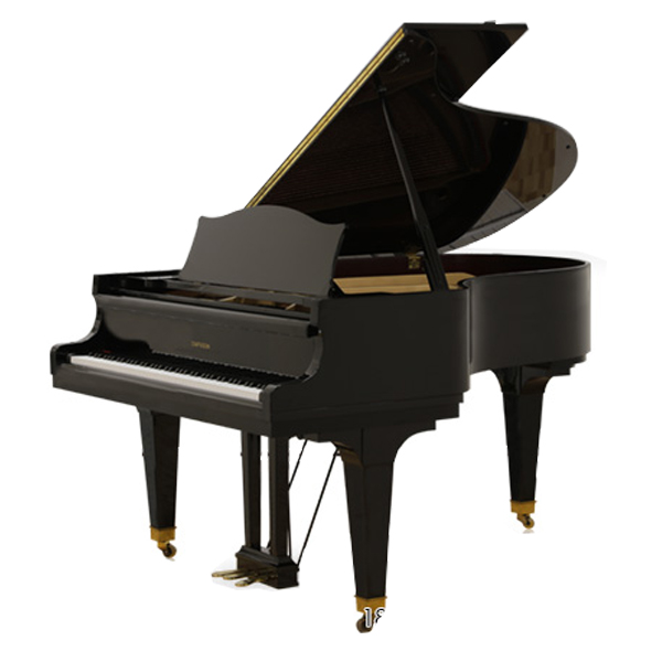 Music City – Tổng Kho Piano, Guitar, Organ | Dịch Vụ Giáo Dục Âm Nhạc