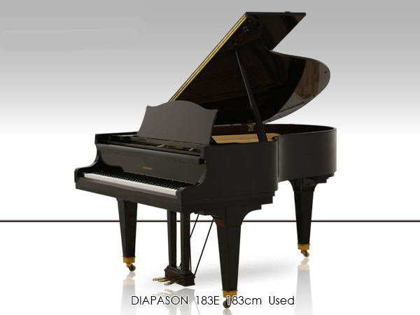 Music City – Tổng Kho Piano, Guitar, Organ | Dịch Vụ Giáo Dục Âm Nhạc