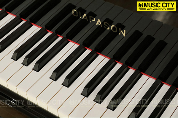 Music City – Tổng Kho Piano, Guitar, Organ | Dịch Vụ Giáo Dục Âm Nhạc