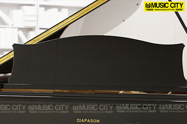 Music City – Tổng Kho Piano, Guitar, Organ | Dịch Vụ Giáo Dục Âm Nhạc