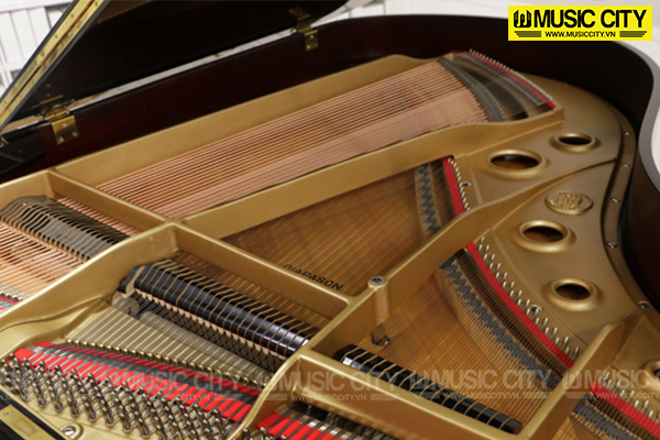 Music City – Tổng Kho Piano, Guitar, Organ | Dịch Vụ Giáo Dục Âm Nhạc