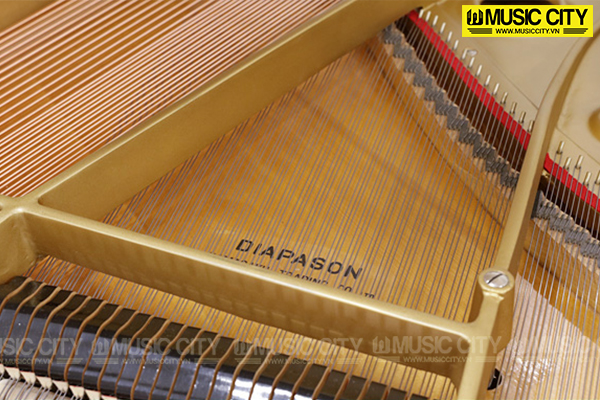 Đàn Grand Diapason 183E WH - Ảnh 6